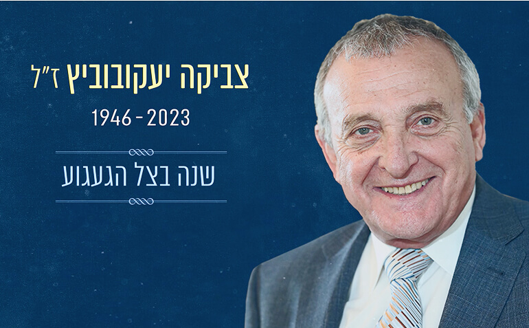 קליפ I did it my way – תמונות של צביקה לאורך השנים